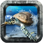 ocean live wallpaper android application logo